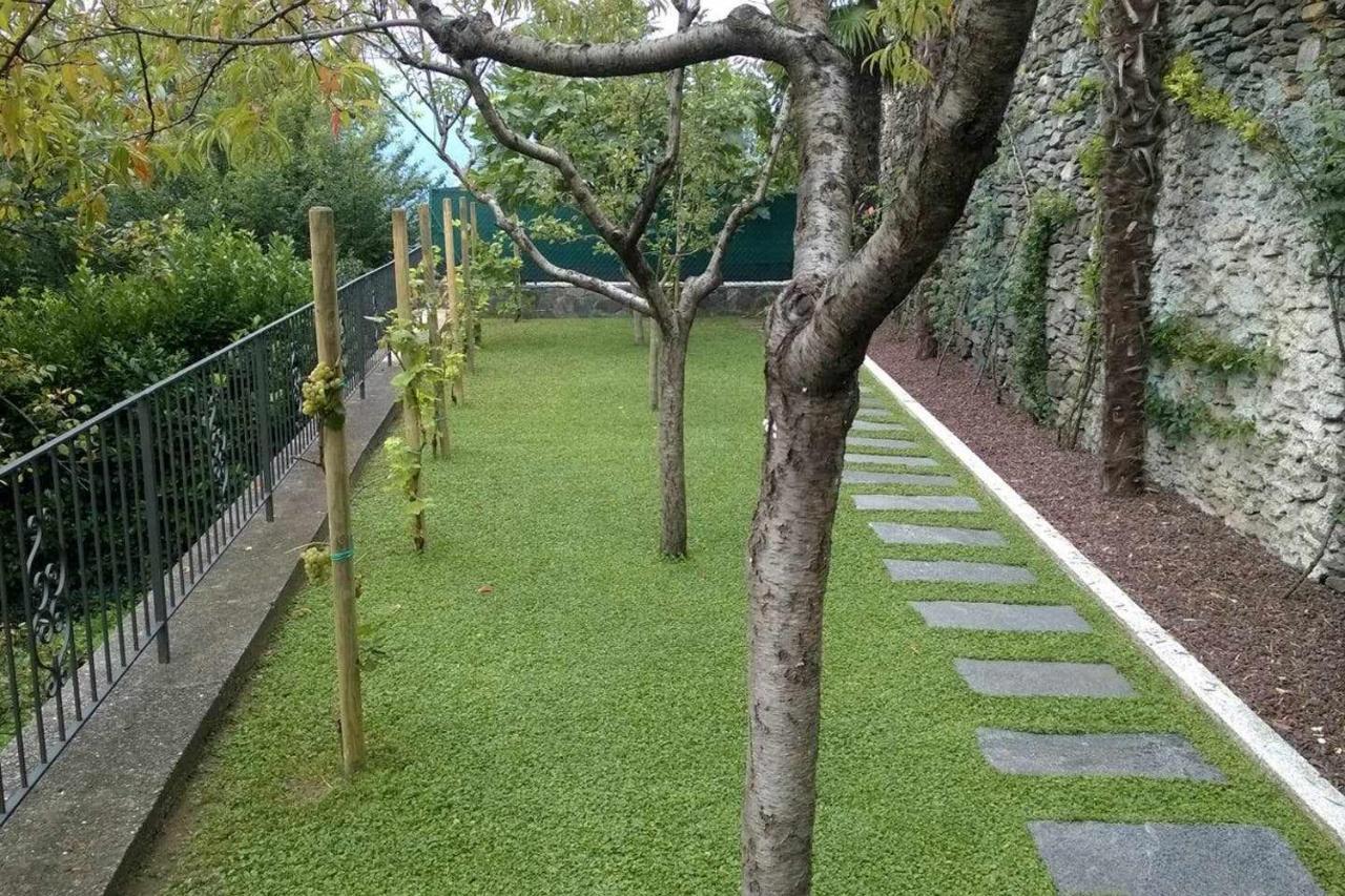 Miasino Domus Cusiana Complesso Vista Lago E Piscina מראה חיצוני תמונה